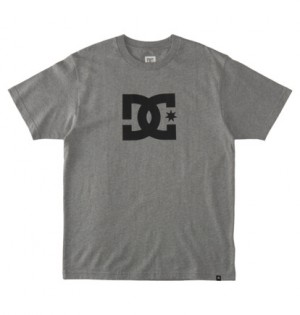 Grey Men DC Shoes DC Star T-Shirt | DC-0415396