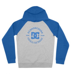 Grey / Blue Kids' DC Shoes DC Star Pilot Hoodie | DC-1360472