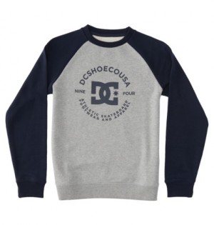 Grey / Navy Kids' DC Shoes DC Star Pilot Sweatshirts | DC-4821905