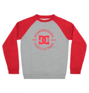 Grey / Red Kids' DC Shoes DC Star Pilot Sweatshirts | DC-3691472