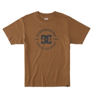 Khaki Men DC Shoes DC Star Pilot T-Shirt | DC-5280641