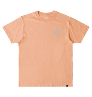 Light Orange Men DC Shoes Swirl T-Shirt | DC-5073264