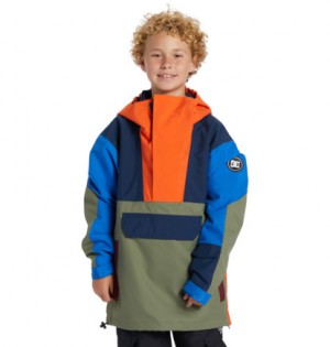 Multicolor Kids' DC Shoes Dc-43 Technical Snowboard Jackets | DC-8753960