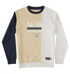 Multicolor Men DC Shoes Static Sweatshirts | DC-0239586