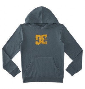 Navy Kids' DC Shoes Sketchy Pullover Hoodie | DC-3062857