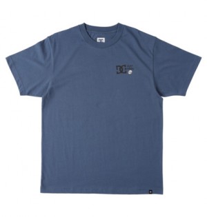 Navy Men DC Shoes Cactus Crew Neck T-Shirt | DC-7951346