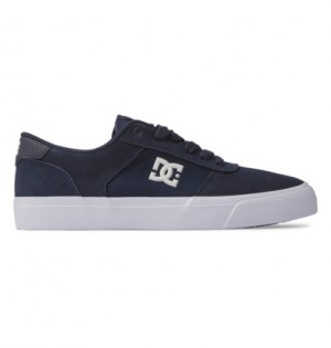 Navy Men DC Shoes Teknic Sneakers | DC-9402835