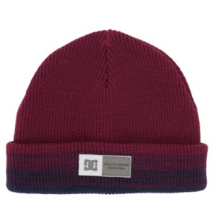 Purple Women DC Shoes Hazy Beanie | DC-4928307