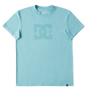 Turquoise Men DC Shoes DC Star Pigment Dye T-Shirt | DC-2681743