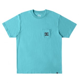 Turquoise Men DC Shoes DC Star T-Shirt | DC-0841695