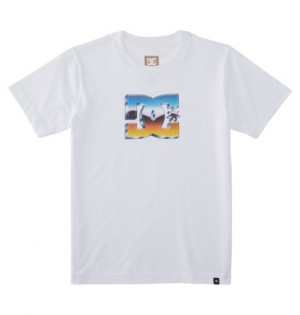 White Kids' DC Shoes Chrome T-Shirt | DC-1075623