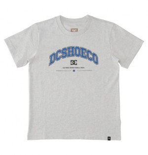 White Kids' DC Shoes Orientation T-Shirt | DC-4083216