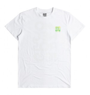 White Men DC Shoes DC Shoes x Monegros T-Shirt | DC-5629348