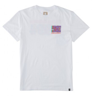 White Men DC Shoes Explorer T-Shirt | DC-2360589