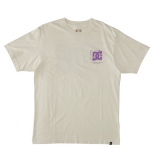 White Men DC Shoes Mid Century T-Shirt | DC-1046257