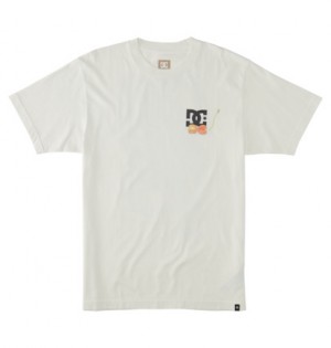 White Men DC Shoes Seed Planter T-Shirt | DC-0376159