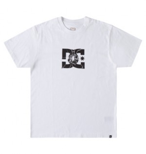 White Men DC Shoes Shatter T-Shirt | DC-7352094