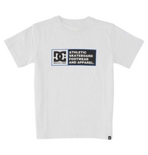 White / Blue Kids' DC Shoes DC Density Zone Short Sleeve T-Shirt | DC-1057263