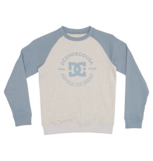 White / Blue Kids' DC Shoes DC Star Pilot Sweatshirts | DC-4512860