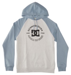 White / Blue Men DC Shoes DC Star Pilot Hoodie | DC-7054821