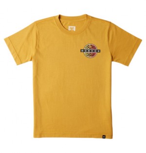 Yellow Kids' DC Shoes Core Short Sleeves T-Shirt | DC-4251673