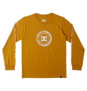 Yellow Kids' DC Shoes DC Corpo Long Sleeve T-Shirt | DC-6318405