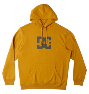 Yellow Men DC Shoes DC Star Hoodie | DC-5612379