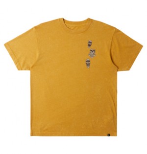 Yellow Men DC Shoes Open Wide Short Sleeves T-Shirt | DC-5971064