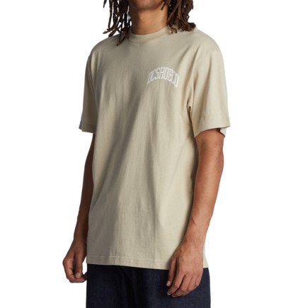 Beige Men DC Shoes Jaakko T-Shirt | DC-9840731