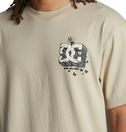 Beige Men DC Shoes Still Here T-Shirt | DC-0312475