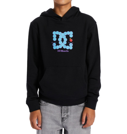 Black Kids' DC Shoes Bookworm Hoodie | DC-4732095