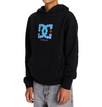 Black Kids' DC Shoes Bookworm Hoodie | DC-4732095