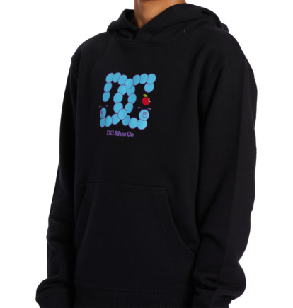 Black Kids' DC Shoes Bookworm Hoodie | DC-4732095