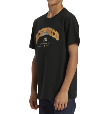 Black Kids' DC Shoes Orientation T-Shirt | DC-8147506