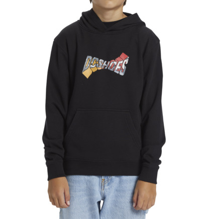 Black Kids' DC Shoes Warped Pullover Hoodie | DC-5430182