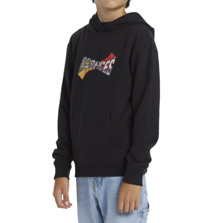 Black Kids' DC Shoes Warped Pullover Hoodie | DC-5430182