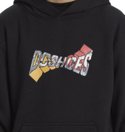 Black Kids' DC Shoes Warped Pullover Hoodie | DC-5430182