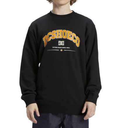 Black Men DC Shoes Orientation Sweatshirts | DC-2509347