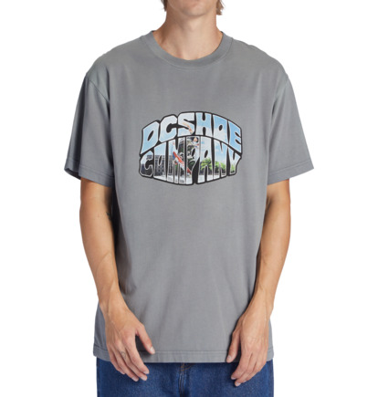 Blue Grey Men DC Shoes Citywide T-Shirt | DC-9607831