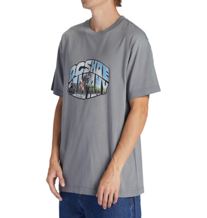 Blue Grey Men DC Shoes Citywide T-Shirt | DC-9607831