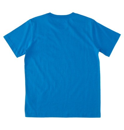 Blue Kids' DC Shoes Astro T-Shirt | DC-6419027