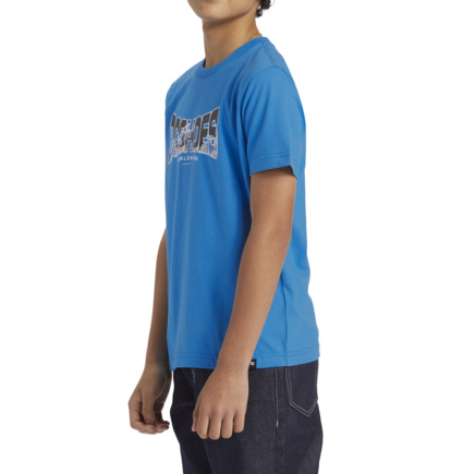 Blue Kids' DC Shoes Astro T-Shirt | DC-6419027