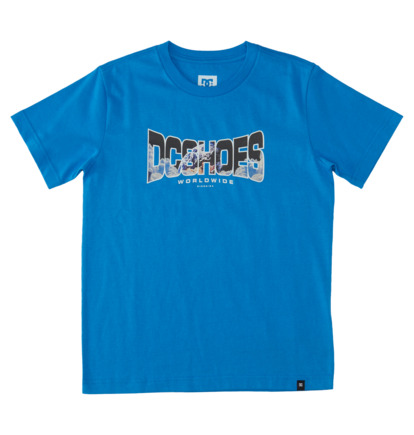 Blue Kids\' DC Shoes Astro T-Shirt | DC-6419027