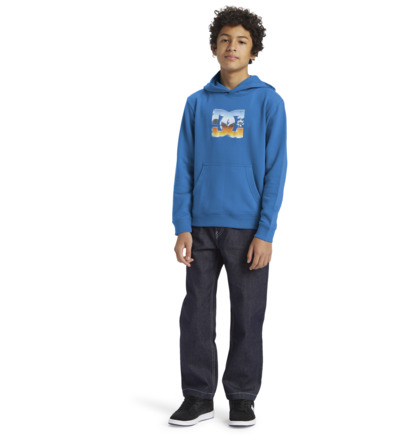 Blue Kids' DC Shoes Chrome Pullover Hoodie | DC-8324671