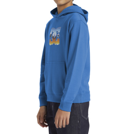 Blue Kids' DC Shoes Chrome Pullover Hoodie | DC-8324671