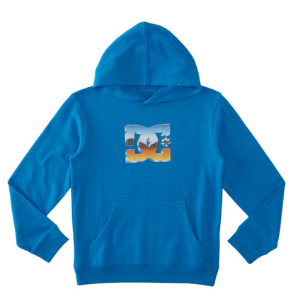 Blue Kids\' DC Shoes Chrome Pullover Hoodie | DC-8324671