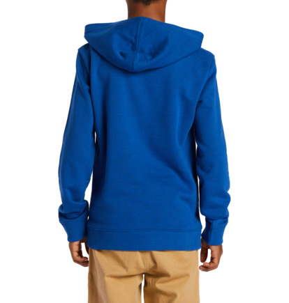 Blue Kids' DC Shoes On The Grind Hoodie | DC-0635187