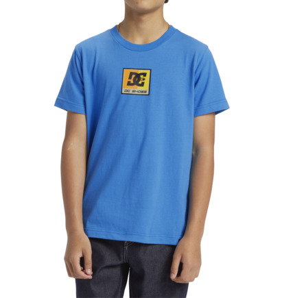 Blue Kids' DC Shoes Racer T-Shirt | DC-1792834