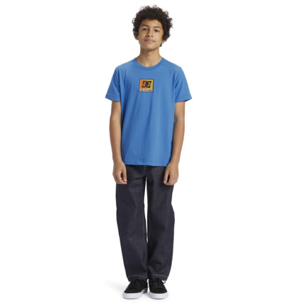 Blue Kids' DC Shoes Racer T-Shirt | DC-1792834