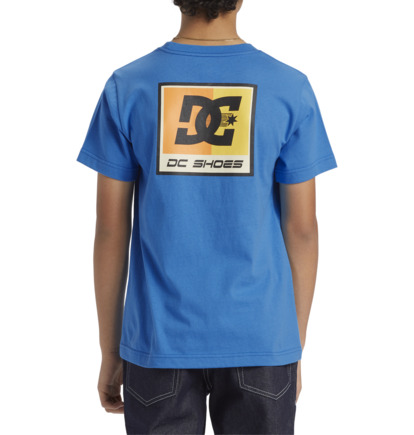 Blue Kids' DC Shoes Racer T-Shirt | DC-1792834